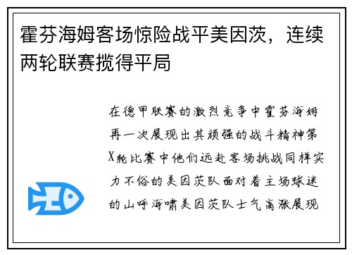 霍芬海姆客场惊险战平美因茨，连续两轮联赛揽得平局