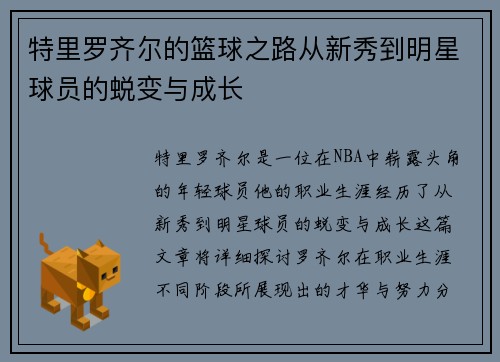 特里罗齐尔的篮球之路从新秀到明星球员的蜕变与成长