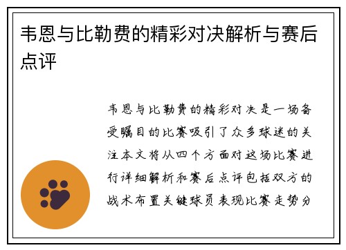 韦恩与比勒费的精彩对决解析与赛后点评